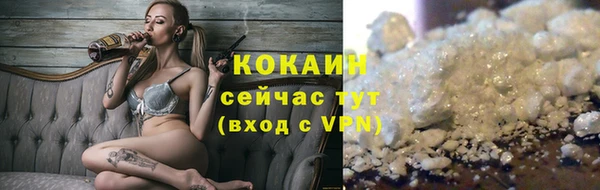 ГАЛЛЮЦИНОГЕННЫЕ ГРИБЫ Белокуриха