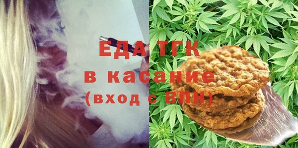 гидра Богородск