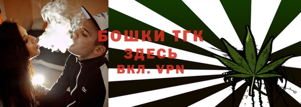 шишки Богданович