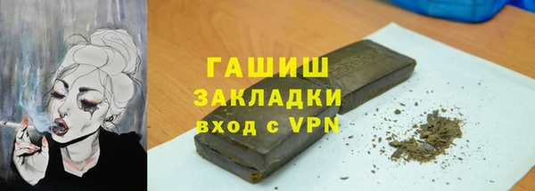 гидра Богородск