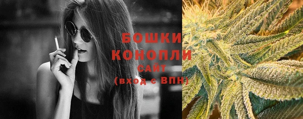 ГАЛЛЮЦИНОГЕННЫЕ ГРИБЫ Белокуриха