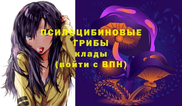гидра Богородск