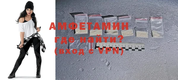 гидра Богородск