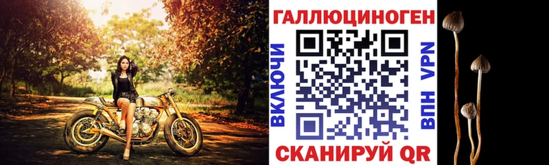 что такое   Знаменск  Псилоцибиновые грибы ЛСД 